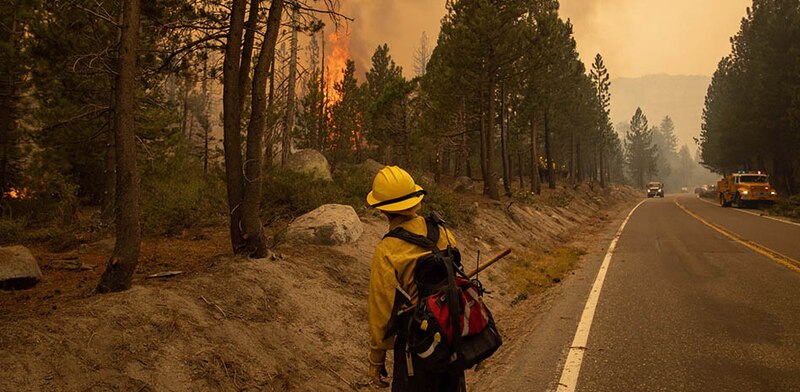 Bombero forestal observa el incendio forestal