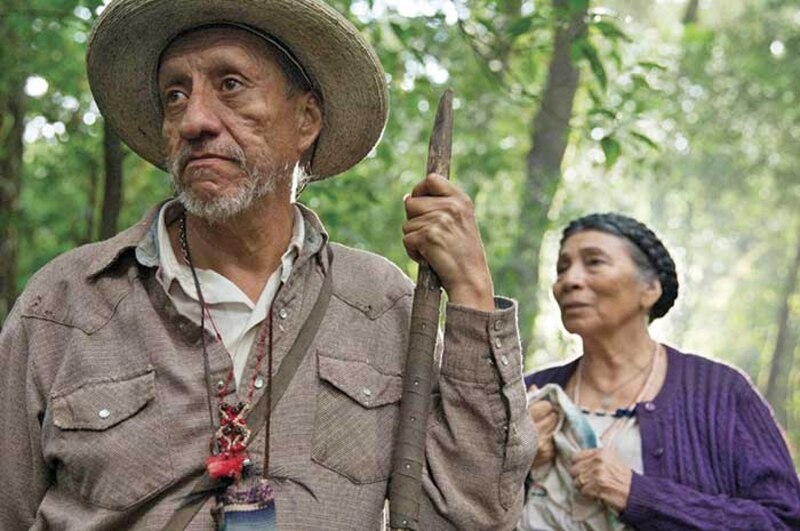 La pareja en el bosque