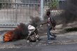 La ONU precisa financiamiento para Haití, al borde de "devastadora crisis de hambre"