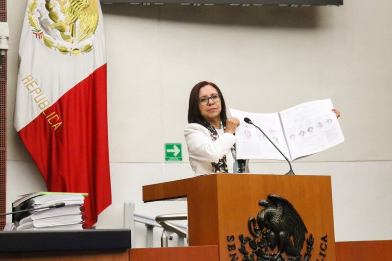 La senadora mexicana Ana Lilia Herrera Anzaldo presenta una iniciativa de ley.