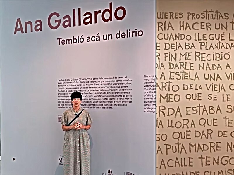 Ana Gallardo: Tembló acá un delirio