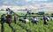 Productores alertan por crisis en campo mexicano ante la revisión anual del T-MEC    