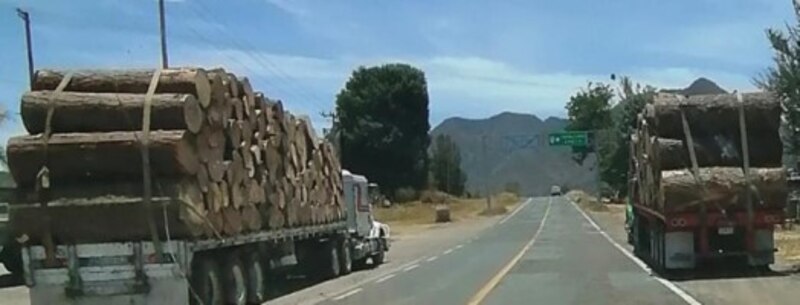 Tráfico de madera en la carretera