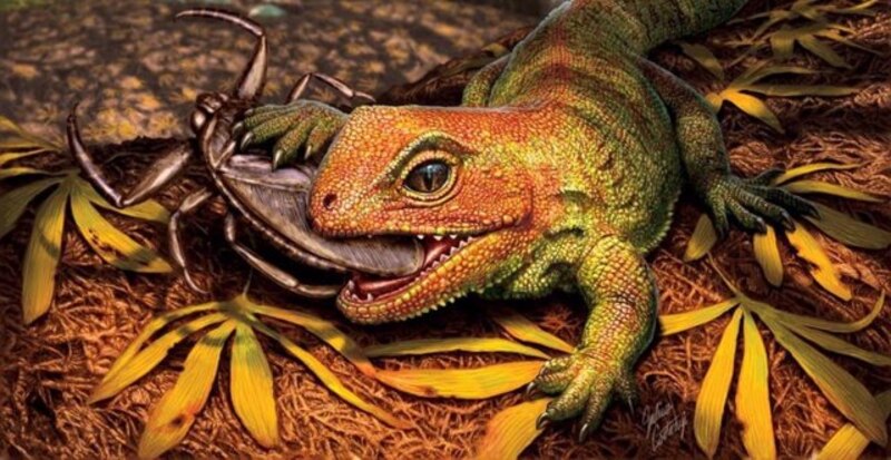 Un reptil prehistórico se alimenta de un insecto