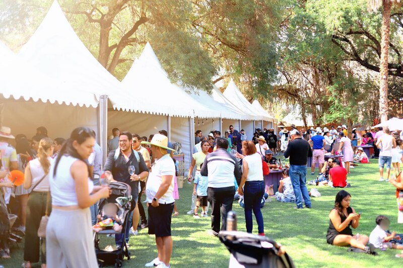 Una multitud de personas se reúne en un parque para un festival de comida y vino.