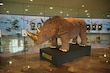 “Murmullos de la Naturaleza” es  una muestra de la monumental  belleza entre el arte y la fauna    