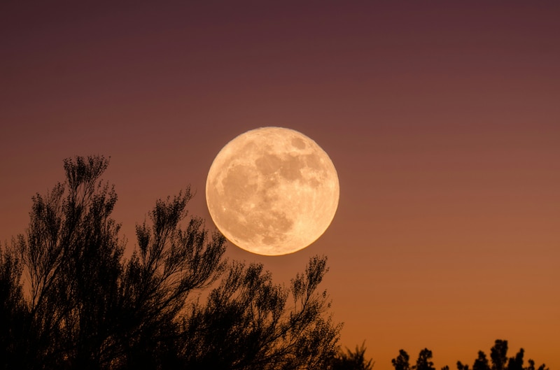 Se le conoce como Luna de Nieve por la relación del lunar con el invierno.