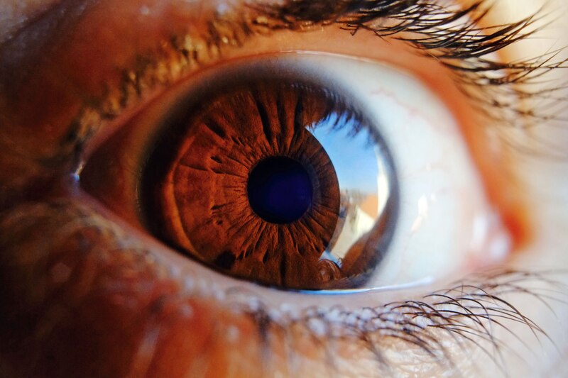 Ojo humano