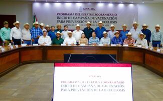 Sinaloa da inicio a la campaña de vacunación para prevenir la brucelosis bovina