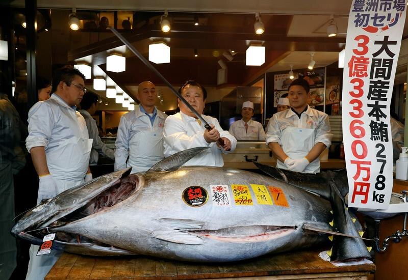 Subastan un atún rojo gigante en Tokio por 33 millones de yenes