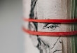 El populismo como conspiración de billonarios