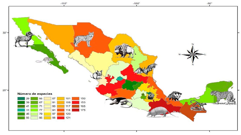 Mapa de la distribución de la riqueza de especies de mamíferos terrestres en México