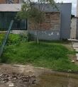 En el Congreso, piden a Tlajomulco que atienda problemas de bacheo, alumbrado y limpieza de canales
