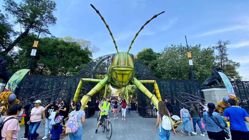 Insectos gigantes en el zoológico