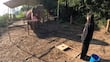 Los elefantes reconocen la atención visual de los humanos