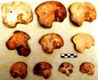 Los mayas antiguos realizaban sacrificio ritual de niños varones, revela estudio