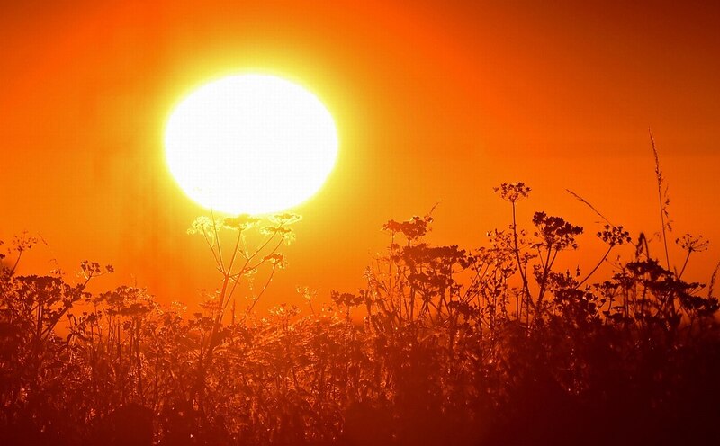 Atardecer en el campo