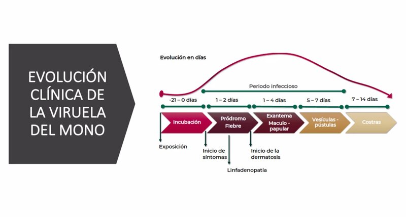 Evolución clínica de la viruela del mono