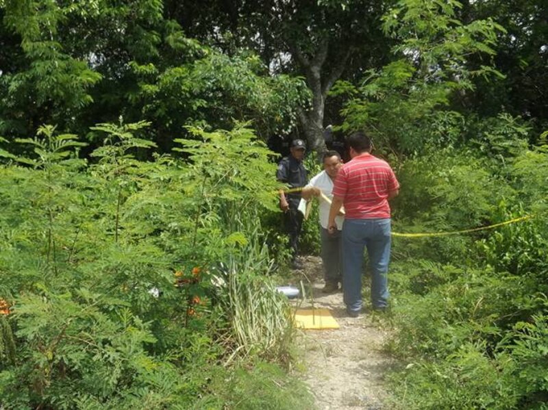 La policía investiga el hallazgo de un cadáver en un bosque
