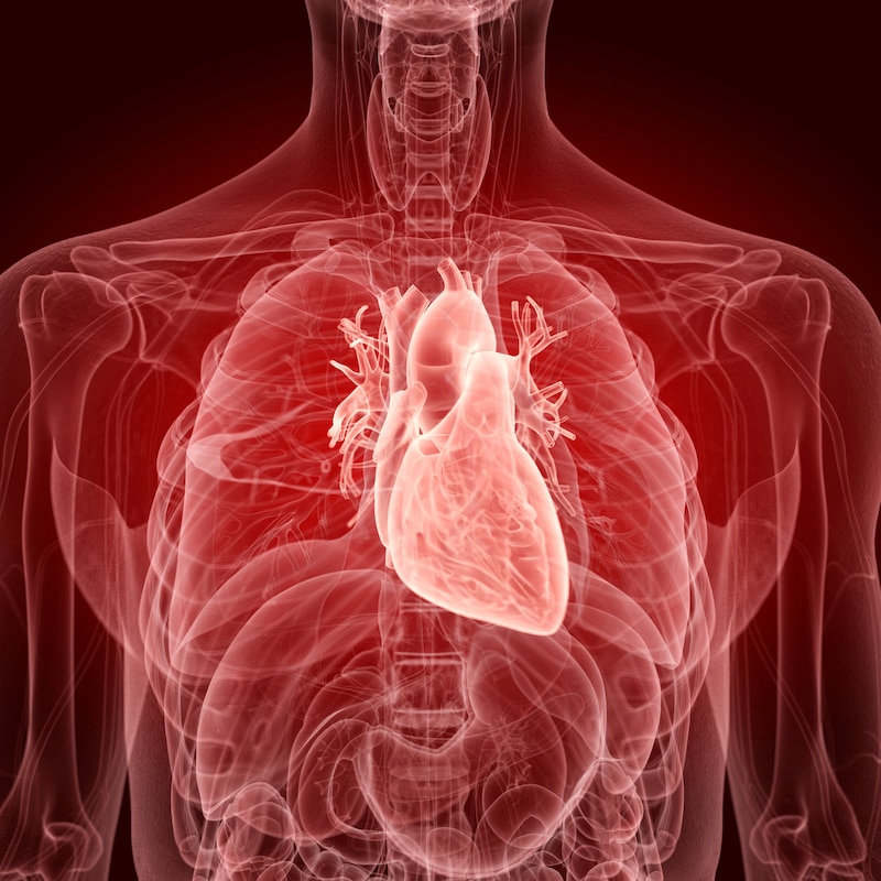 Los altos niveles de dislipidemias en el organismo pueden ocasionar enfermedades cardiacas como infarto al miocardio o embolias