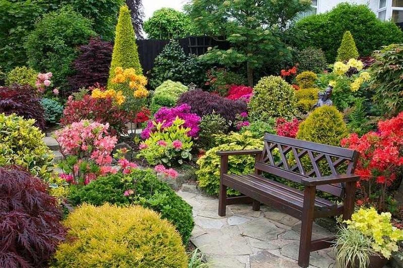 Jardín con flores de colores