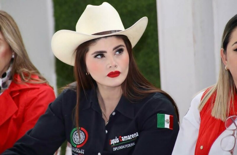La diputada federal, Carolina Viggiano, durante un evento en la Ciudad de México.