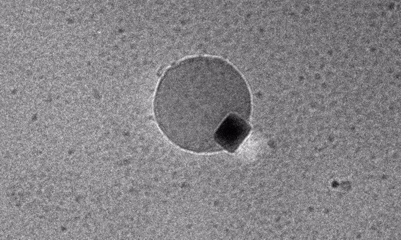 Imagen de microscopía electrónica de transmisión de una célula