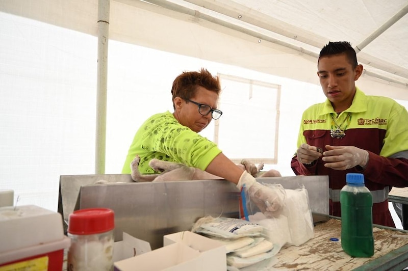 Médicos examinando a un perro