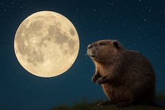 La superluna más brillante y cercana del 2025 iluminará el cielo en noviembre