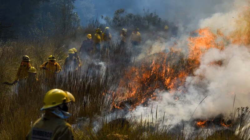 Bomberos combaten un incendio forestal