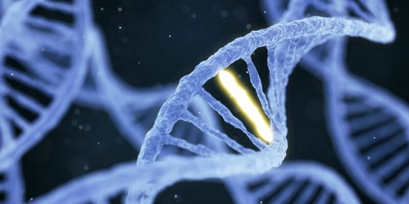 La imagen muestra una representación de la estructura del ADN, una molécula que contiene la información genética de los seres vivos.