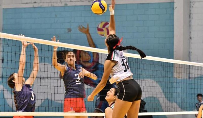 Voleibol