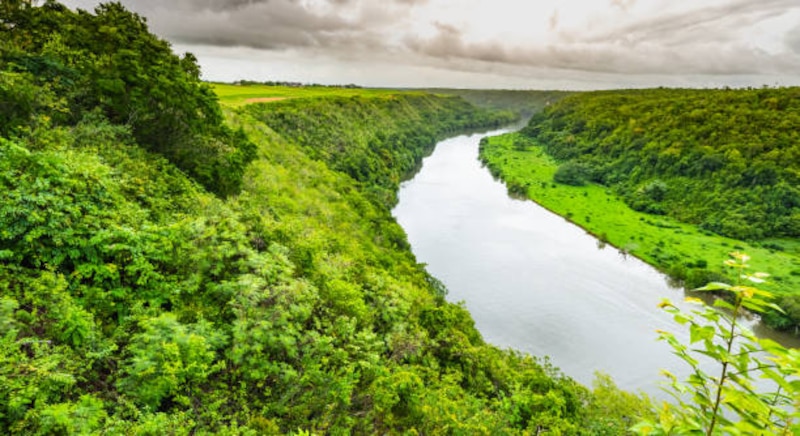 Río en la selva