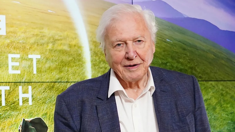 David Attenborough, el famoso naturalista y divulgador científico británico.