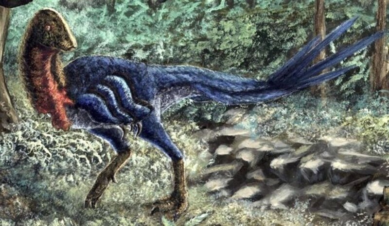 Un dinosaurio emplumado