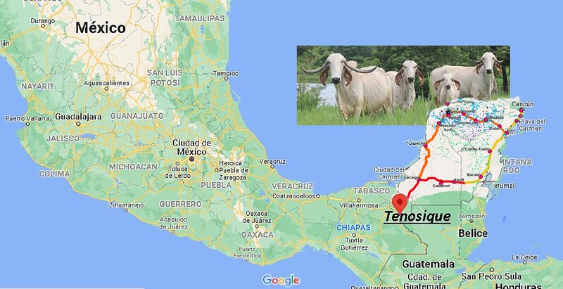 Mapa de México con los estados y capitales
