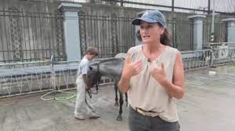 Mujer hablando con un niño sobre un caballo