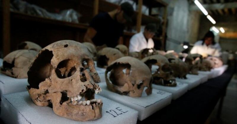 Cráneos humanos antiguos