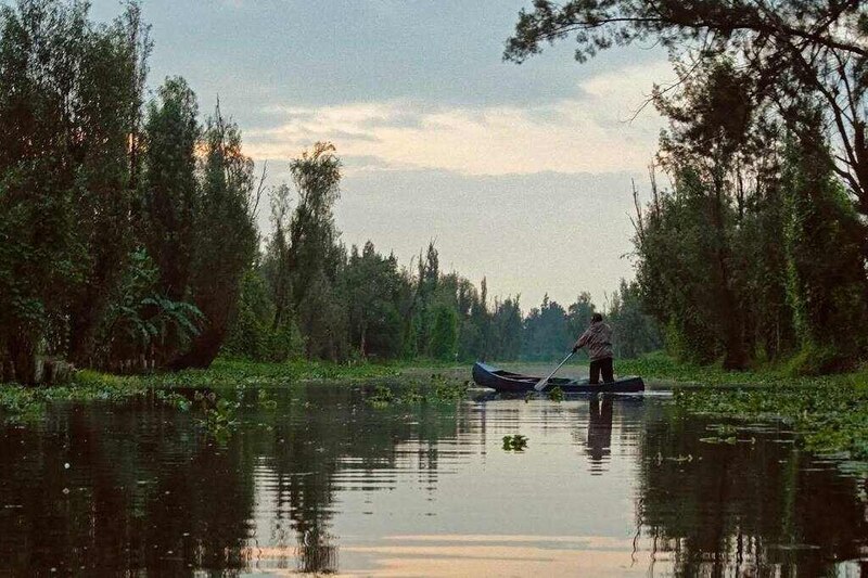 Un hombre en una canoa rema por un río rodeado de árboles.