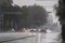 Plan Tlaloque atendió más de 50 incidentes por lluvias en la capital