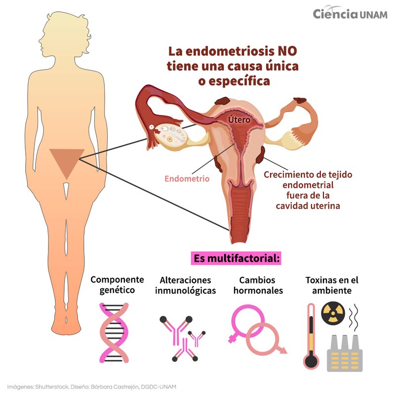 En el mundo, 10% de las mujeres en edad productiva padecen la enfermedad.