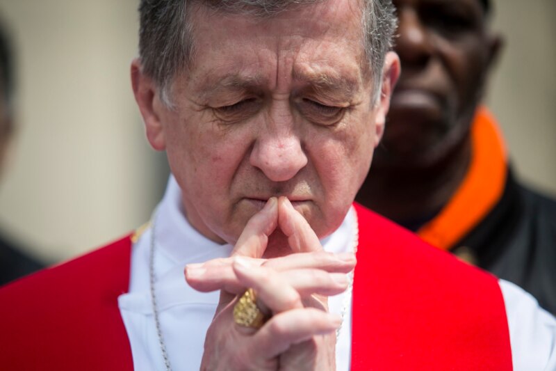Cardenal arzobispo de Washington ora por la paz en Ucrania