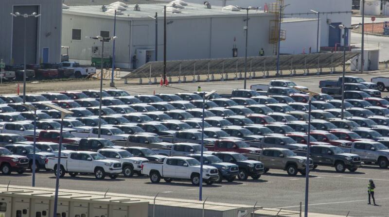 Un lote de camionetas Toyota nuevas en un estacionamiento.