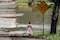 Aumentan a 27 los muertos y 20 desaparecidos por inundaciones en el centro-sur de Texas