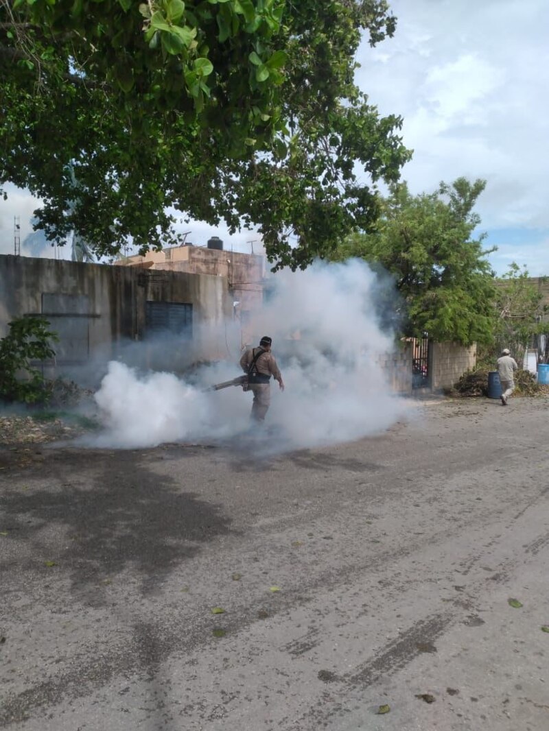 Fumigación en una calle de la ciudad