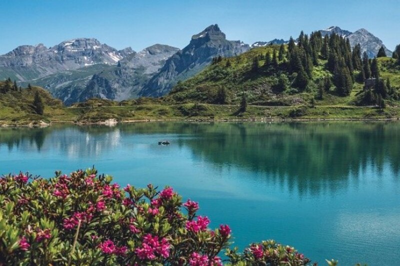 Hermoso paisaje de montaña con lago y flores