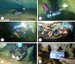 Descubren fósiles de animales marinos en la Península de Yucatán 