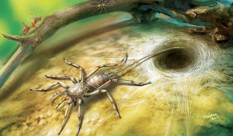 La araña Sydney Funnel-Web es una de las arañas más venenosas del mundo.