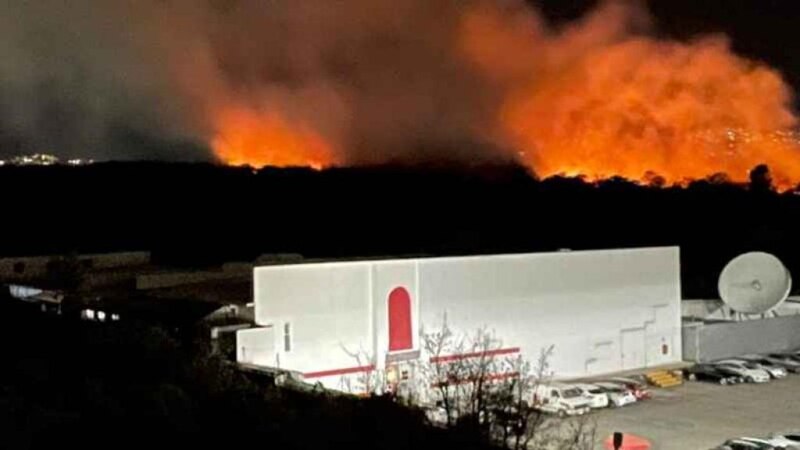 Un incendio forestal arrasa una fábrica