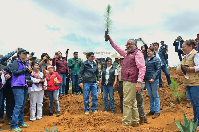 El presidente Andrés Manuel López Obrador planta un árbol en el municipio de San Andrés Tuxtla, Veracruz.